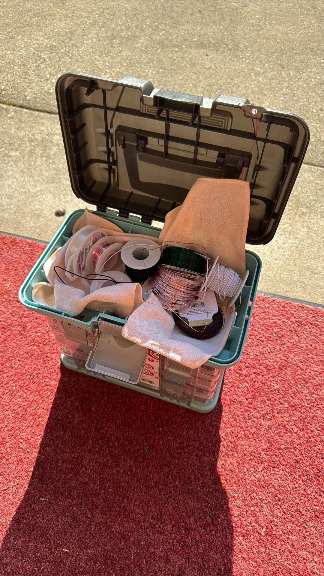 Assorted Bead Plus Case