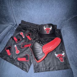Flu Game Jordan Shorts 