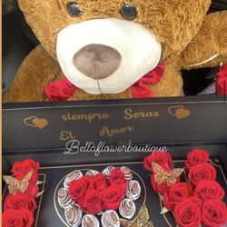 Flowers/rosas/roses