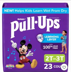 Mickey Mouse pull ups 23ct (2-3T)