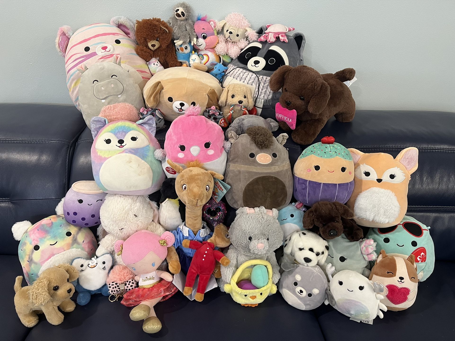 Multiple Stuffed Animals and Plushies