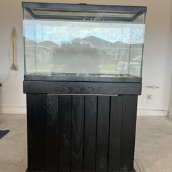 29 Gallon Aquarium/Fish Tank 