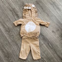 Lion Costume