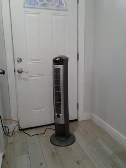 Fan
