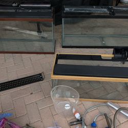 Complete Aquarium Setup – 3 Fish Tanks + Lights + Filters + Tons of Accessories