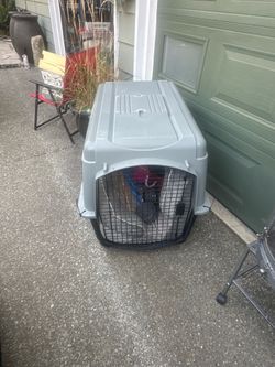 Large plastic dog kennel with extras