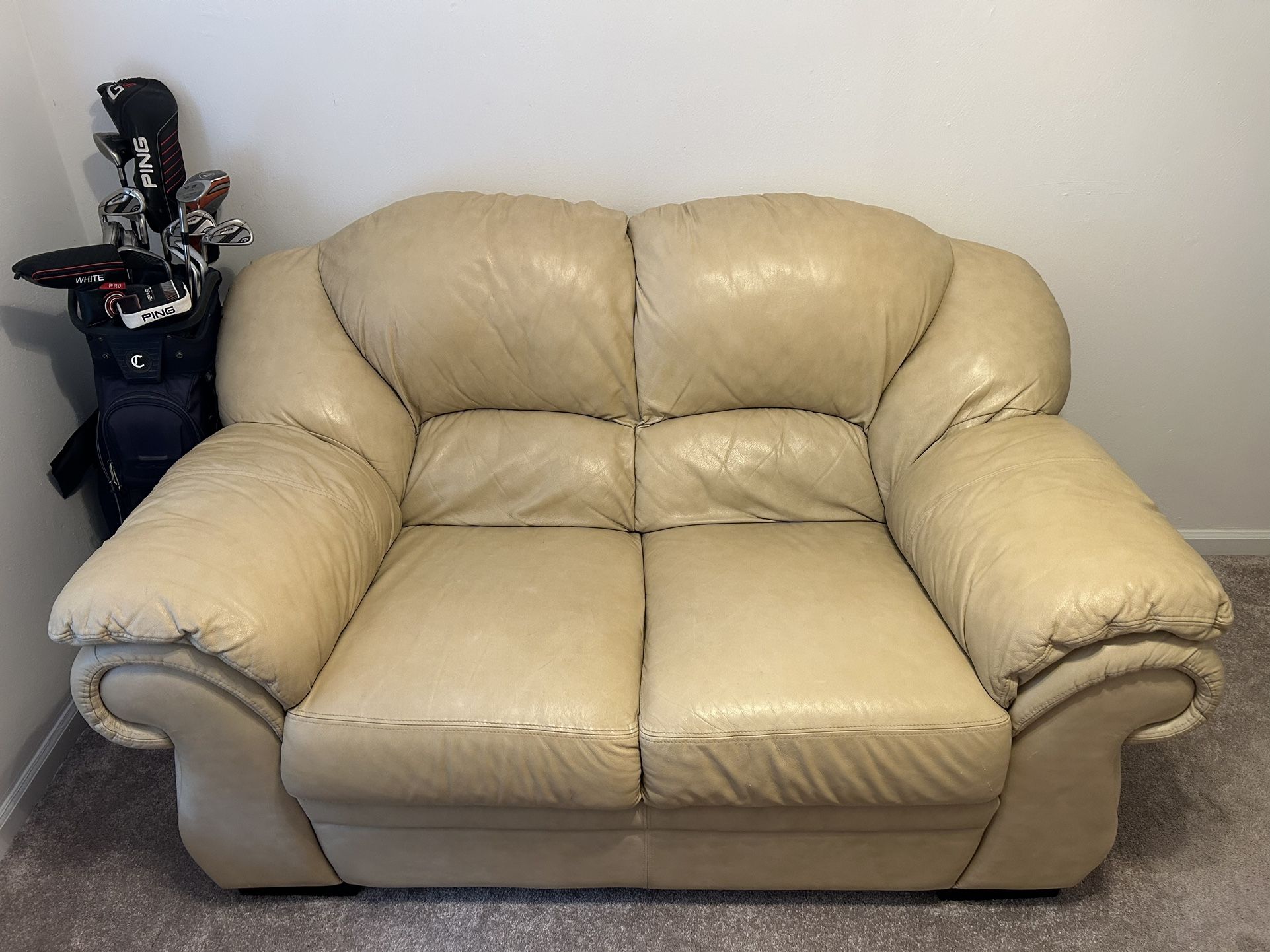 Two Seat Leather Couch