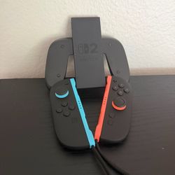 Nintendo Switch 2 JoyCon + straps + controller grip.