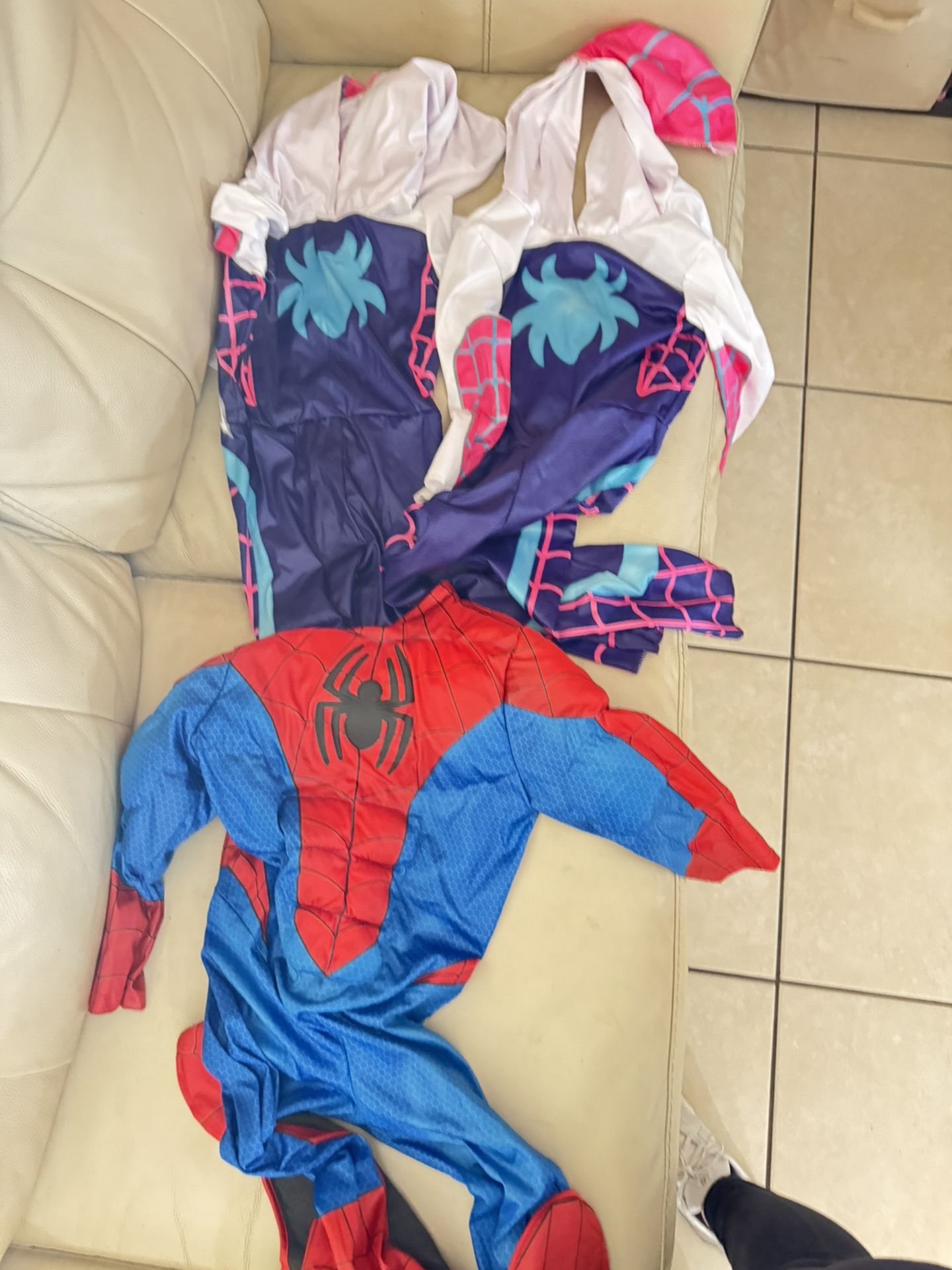 Spiderman & Ghost Spider Costume