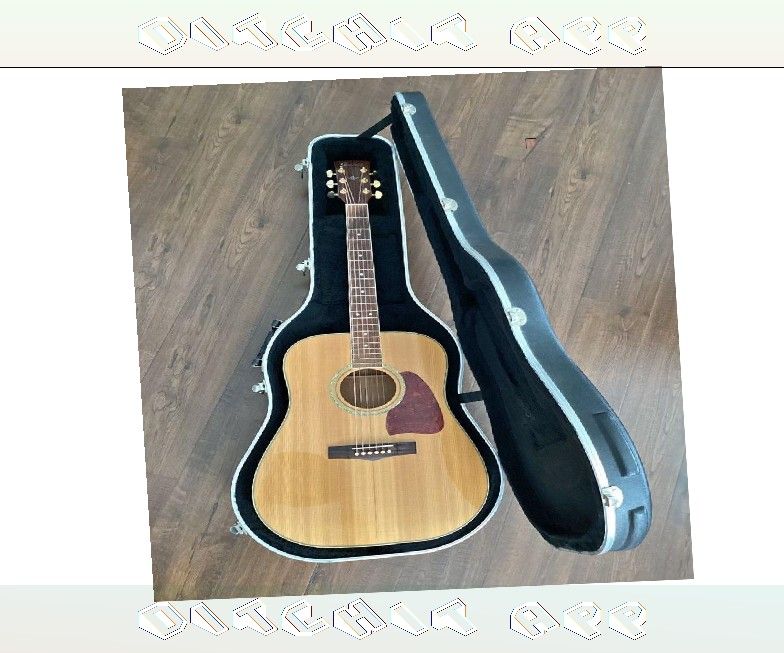 Discover Your Melody with Our High Quality Acoustic Guitar Collection serious hotel