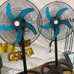 Fans