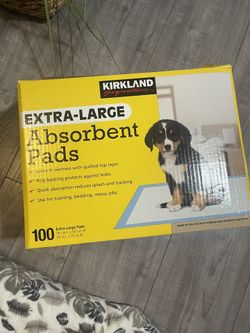 Dog pee 2025 pads costco