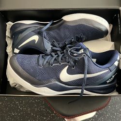 Kobe VIII Protro