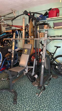 Apex Full body gym