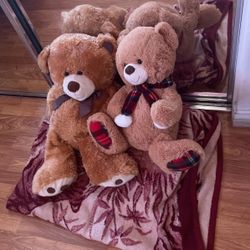 Teddy Bear Plushies 