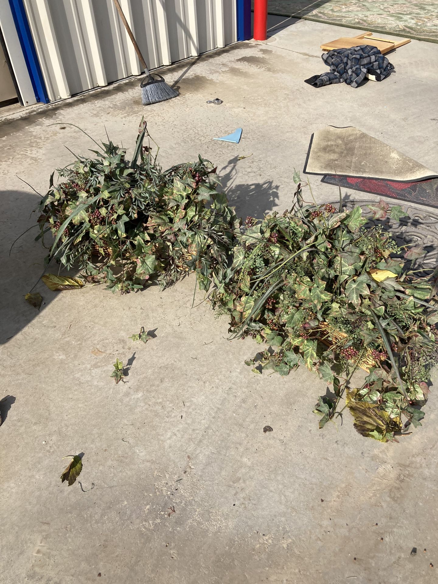 Beautiful Fake Plant Plants $10 Each