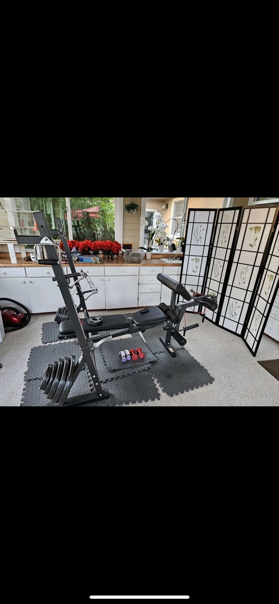 Weights