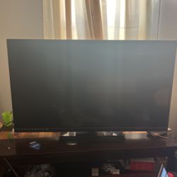 50 Inch VISIO E500i-A0