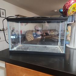 20 Gallon Reptile Tank With Heating Pad