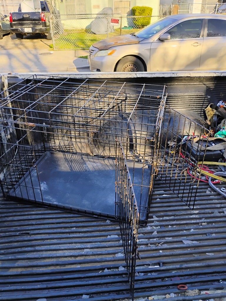 Dog Kennel