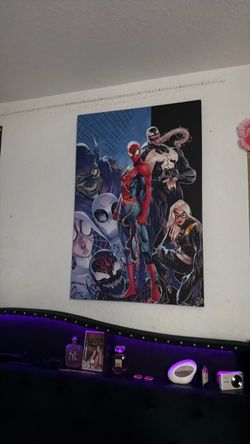 spider man canvas