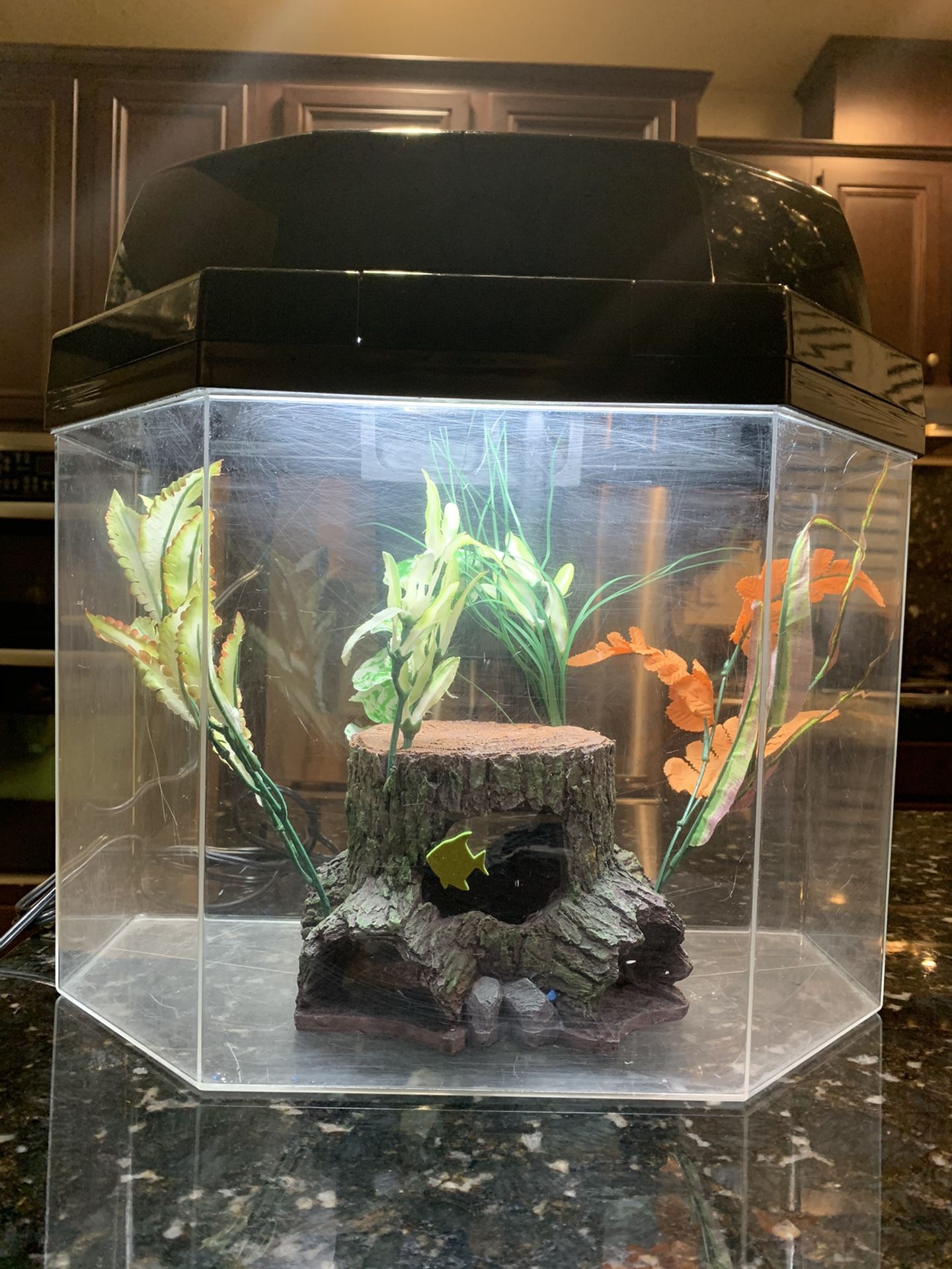 5 Gallon Fish Tank Kit