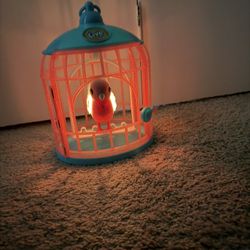 Little Live Pets Toy