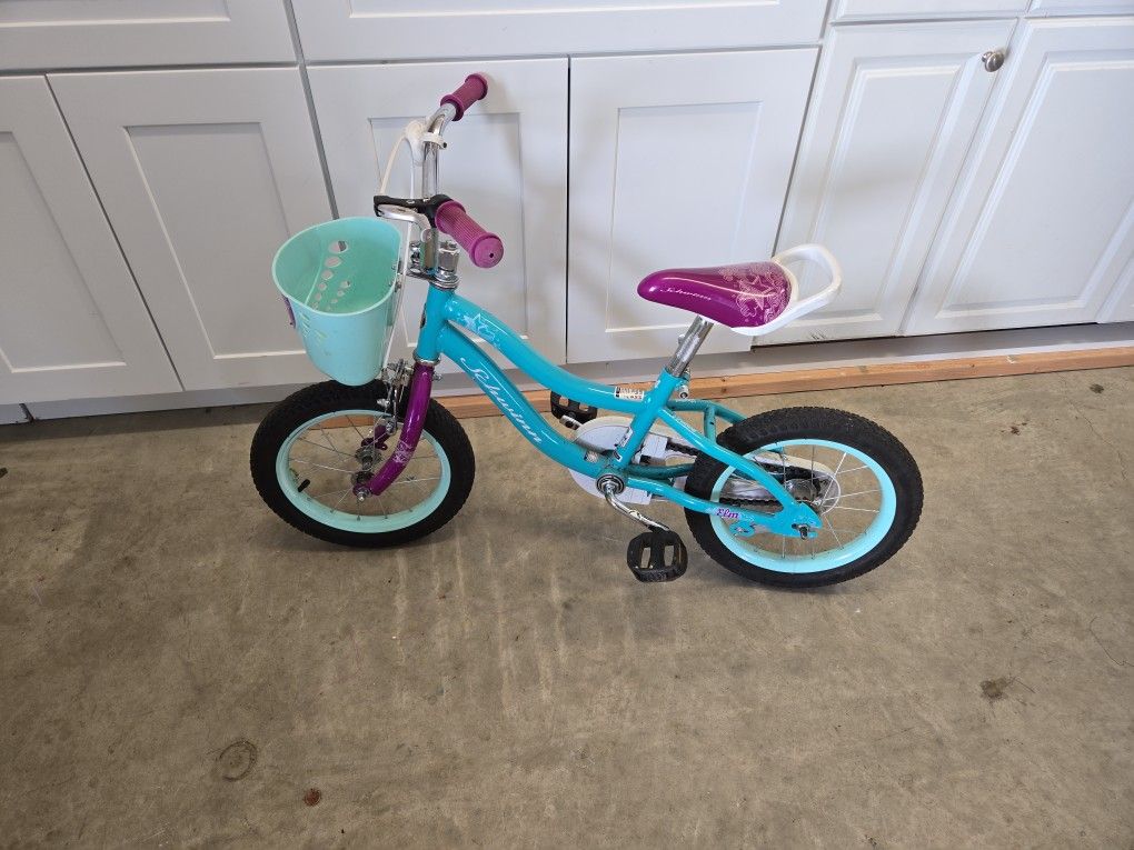 Girls Bike 14