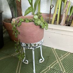 Metal Stand With Plant For $5