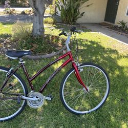 Specialized Women Bike 