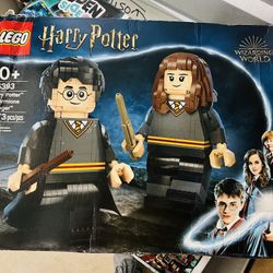 Lego Harry Potter: Harry Potter & Hermione Granger 