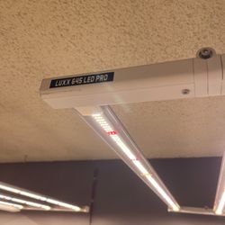 Luxx Pro 645 LED Lights