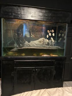125 gallon tank with small sponge filter