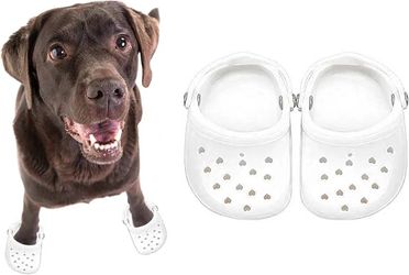 4 PCS Small Dog Sandals, Shoes for Dogs, Candy Colors Dog Sandals for Photo, Doggy Rubber Slipper Shoes White

