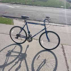 GIANT. 26  INCH. BIKE.     BLUE. IN. COLOR. HAS. NEW. TUBES.     LITE. WEIGHT.     RIDES. GREAT.  FUN. BIKE. TO. RIDE. SKINNY. TIRES.  TIRES. HAVE.  G