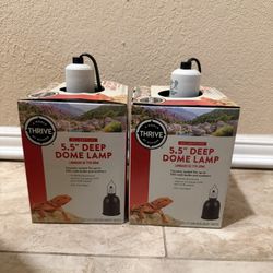 Reptile Dome Light