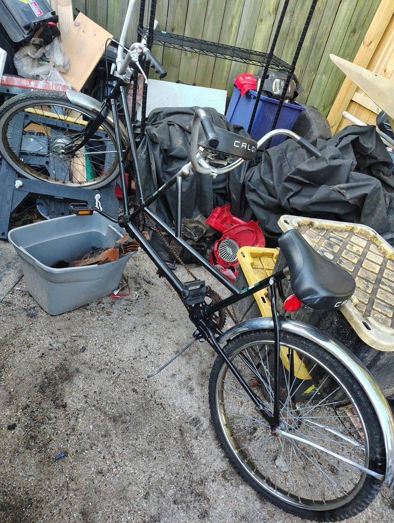 Caloi 2 Seater Beach Cruiser