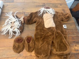 Infant costume