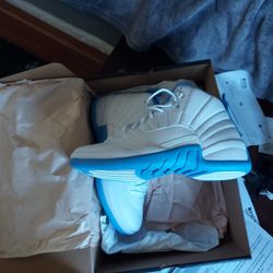 Air Jordan's 12