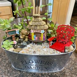 Mother’s Day succulent gardens