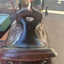 Circle Y Saddle - 16”