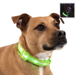 MEDIUM-LED Light Dog 🐕 Collar 