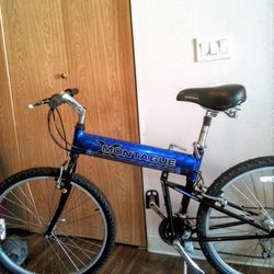 Montague Folding Bike