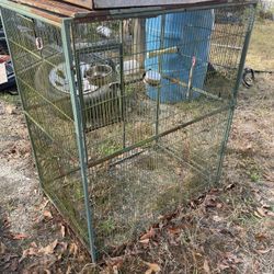Bird Cages 
