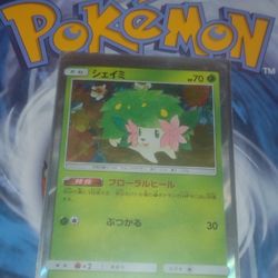 Japanese Holographic 