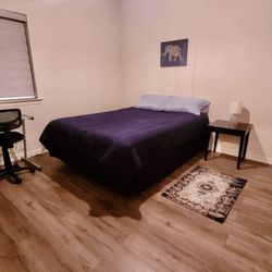 Queen Bed Frame And Box Springs 