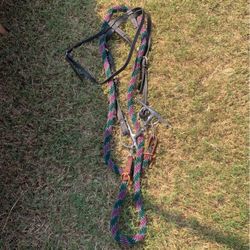 Bridle Bit And Reins  Price Greatly Reduced! Only $60