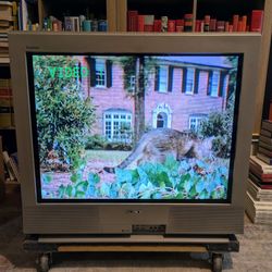 Sony Trinitron 32" CRT TV - KV-32FS12 Retro Gaming Television