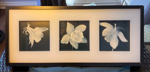 Flowers Print, Black and White, Framed
