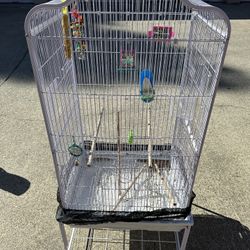 Bird Cage 